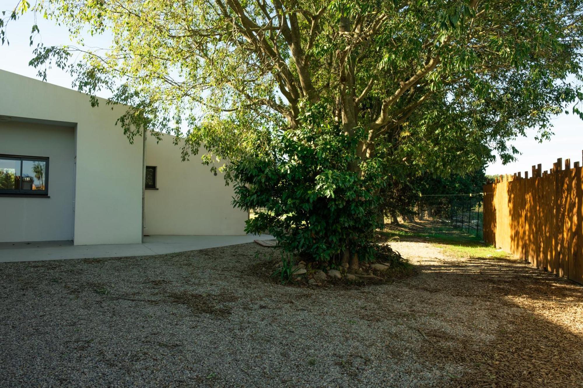Villa Domaine Saint Thomas Argelès-sur-Mer Exterior foto